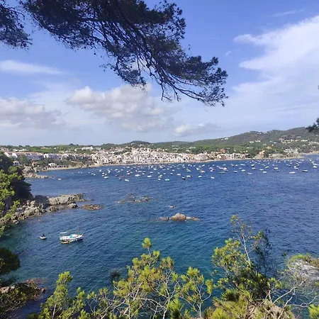 Apartment Mas Vermey Nº 7 Calella De Palafrugell
